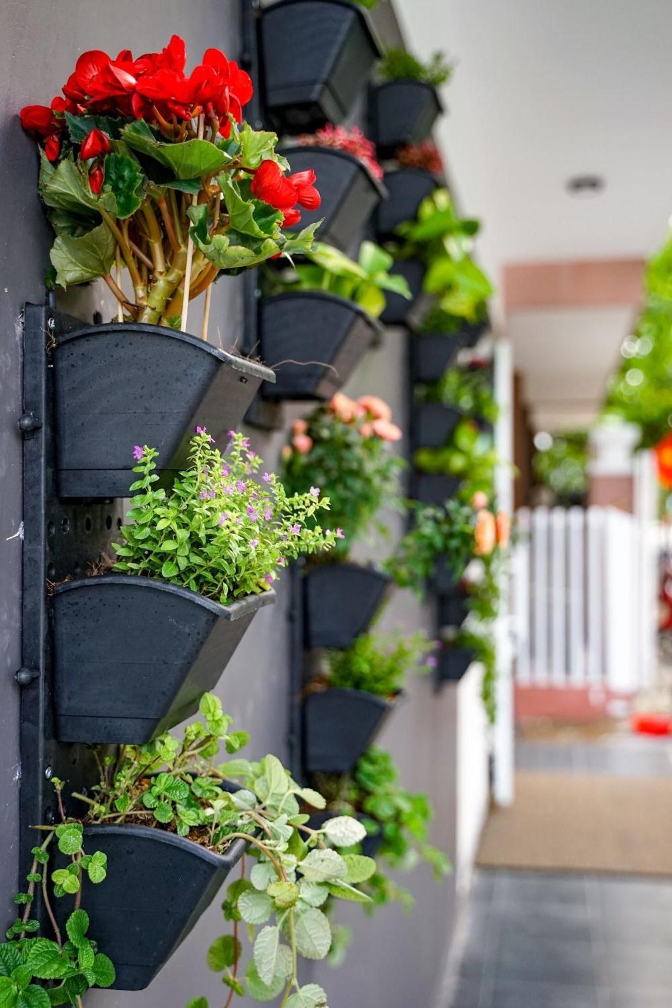 Local White House - Ecofriendly Homestay Da Nang Exterior foto