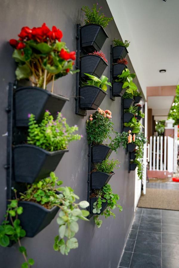 Local White House - Ecofriendly Homestay Da Nang Exterior foto